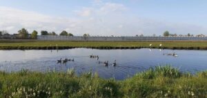 op de fiets mis je niets