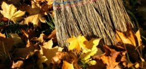 extra onderhoud WordPress-websites