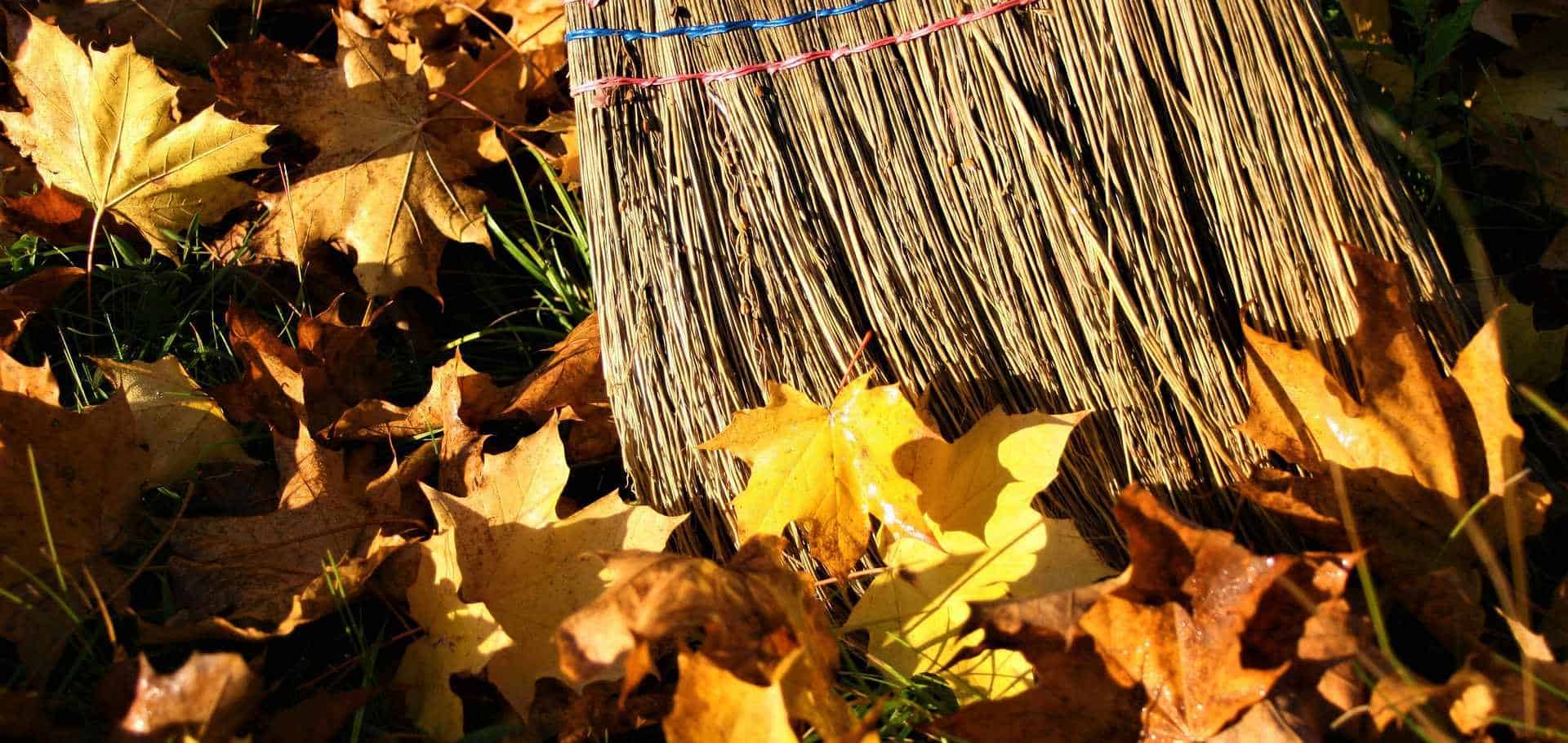 extra onderhoud WordPress-websites